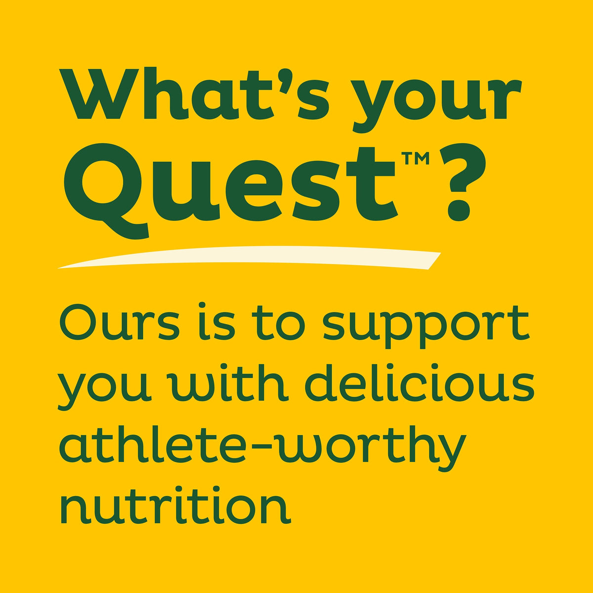 lemon-cake-protein-bars-k9 qst-011285_lemon-cake-protein-bars_9.jpg
